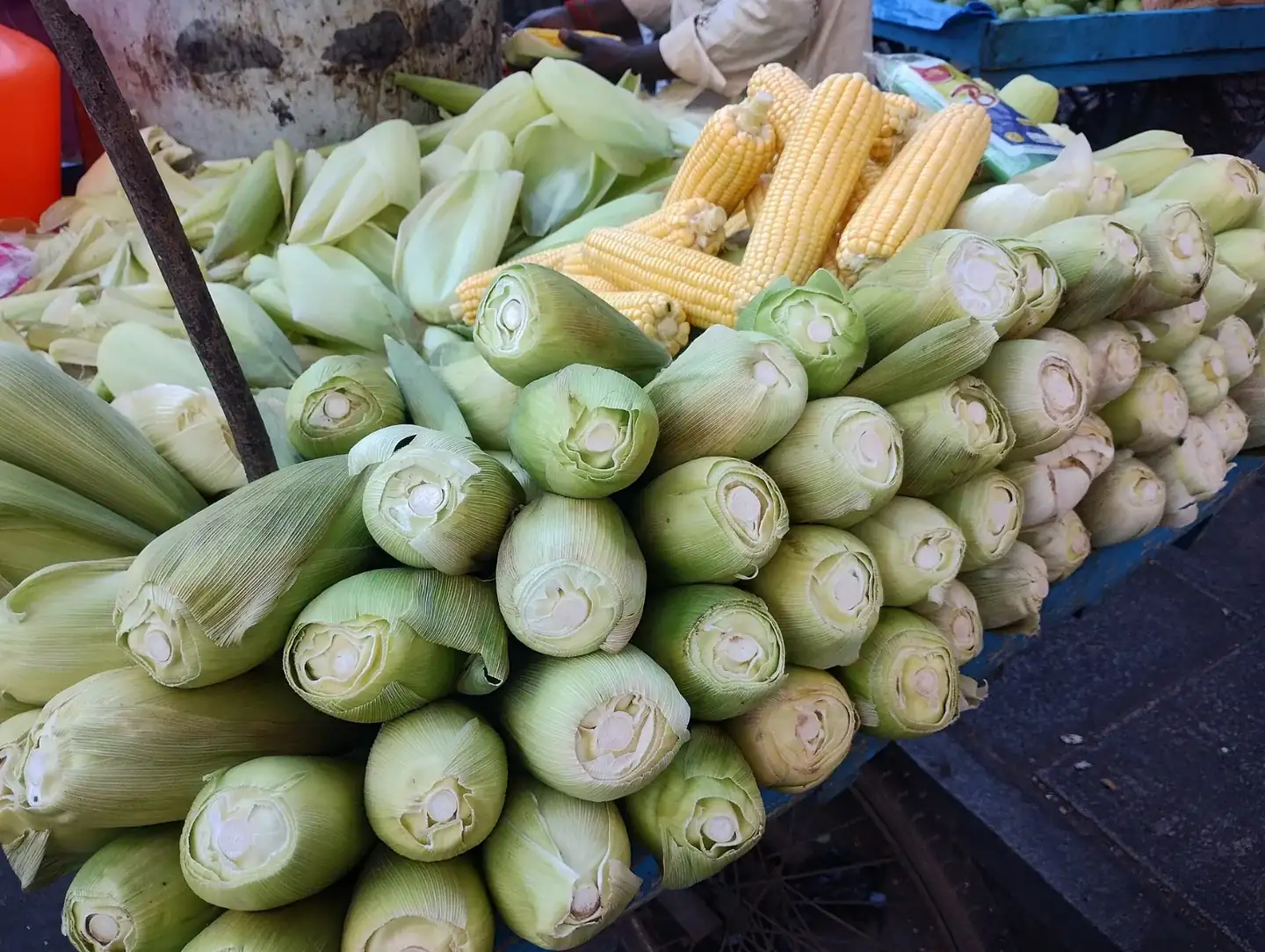 Basavanagudi Kadalekai Parishe Bangalore