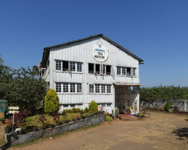 Wayanad Tea Museum