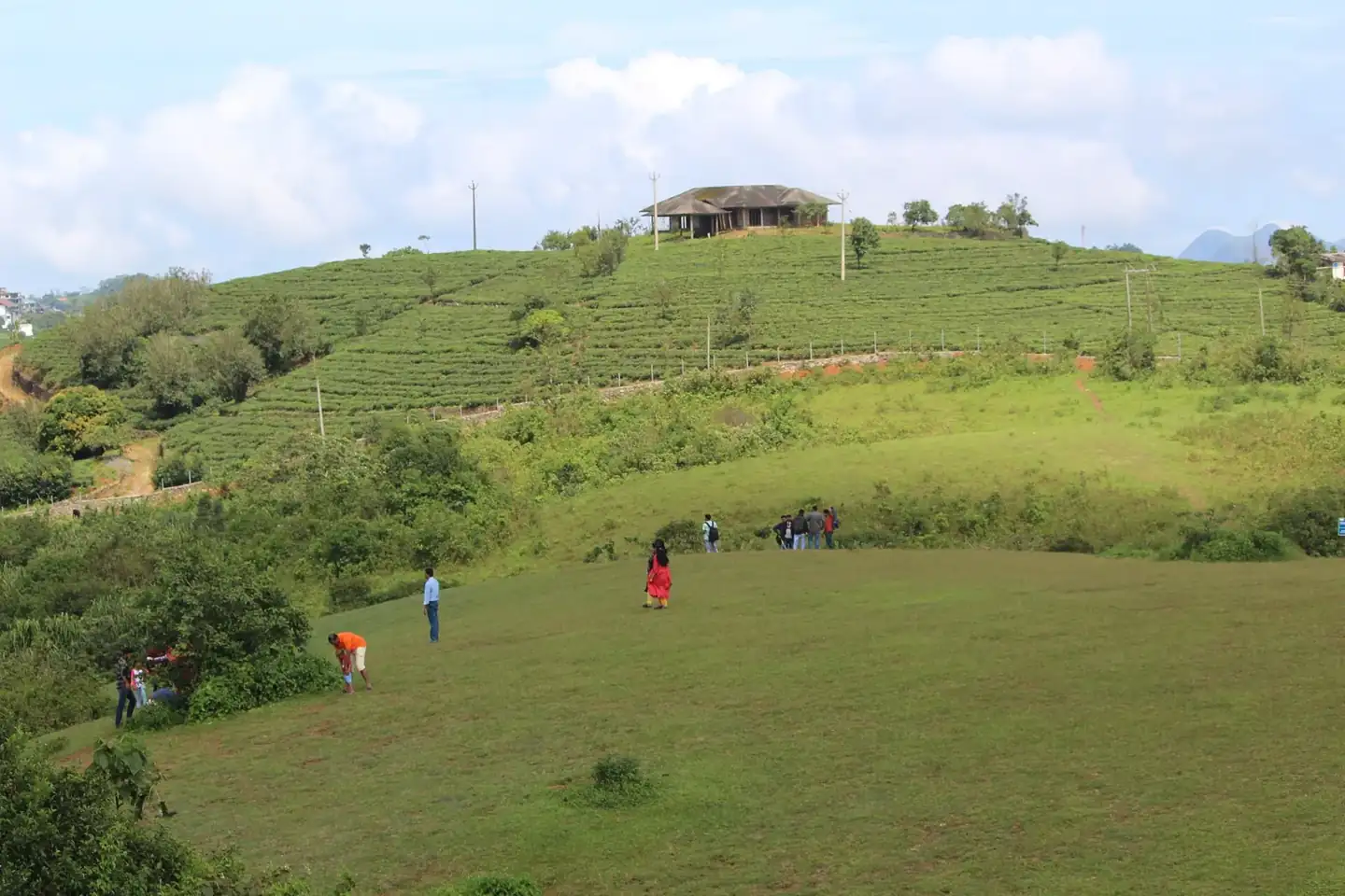 Vagamon Medows Tea Garden