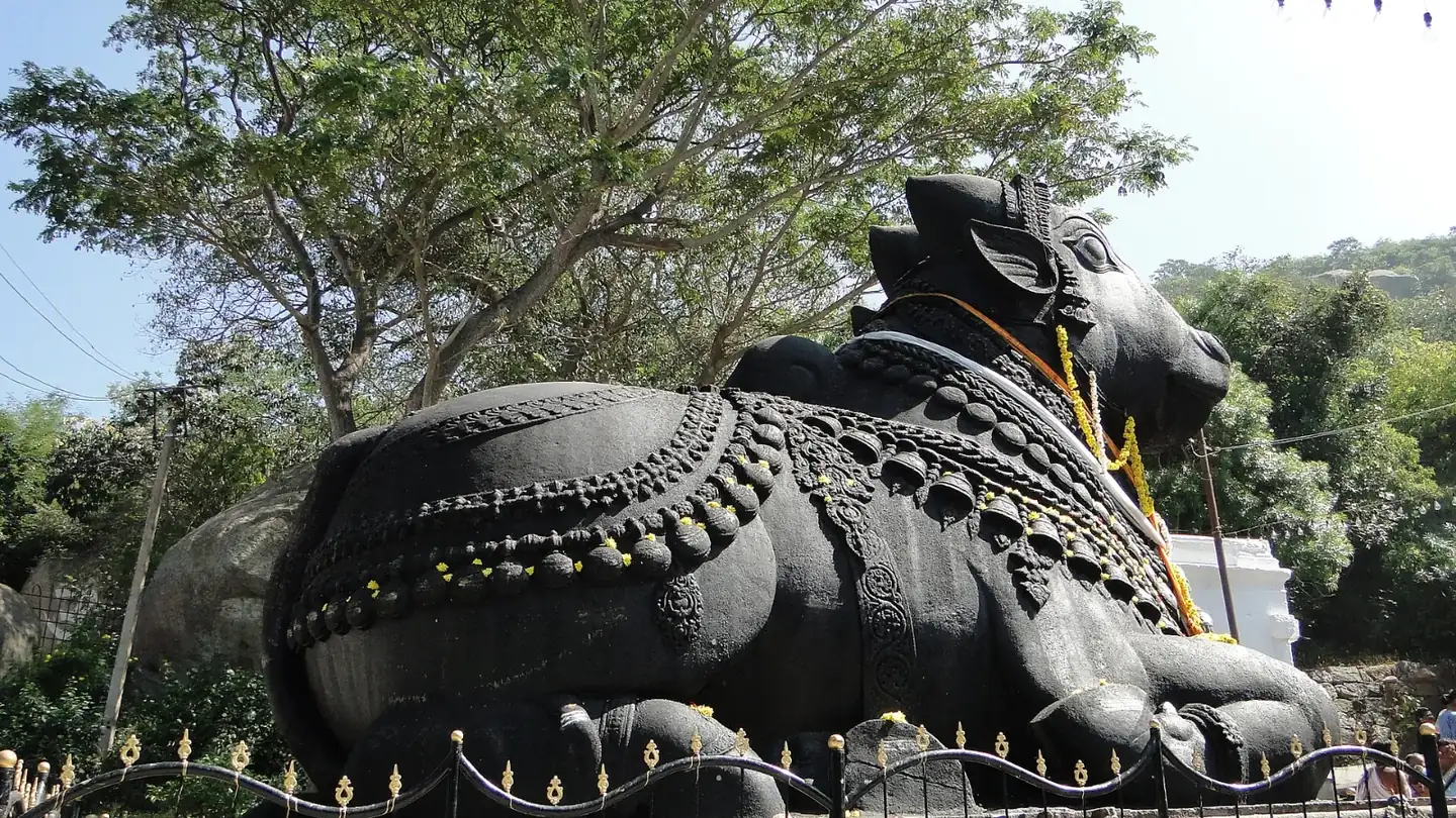 Chamundi Hills Mysore Nandi