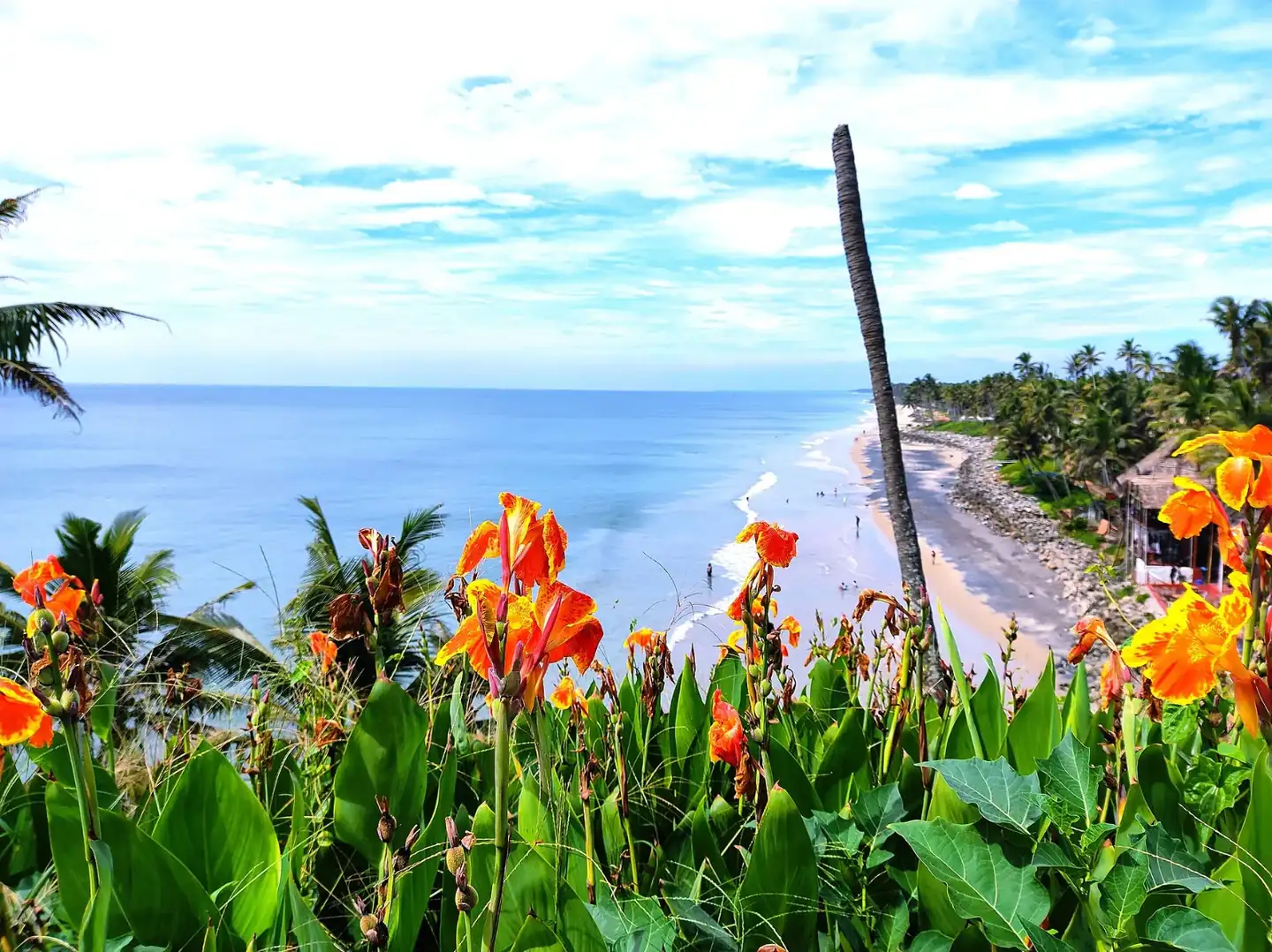 Varkala Beach December