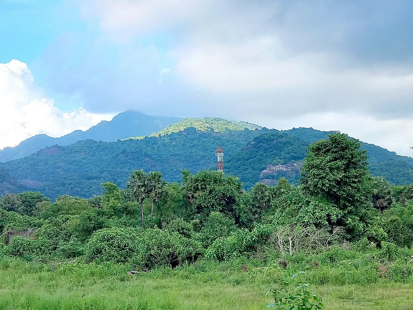 Araku Valley, Visakhapatnam