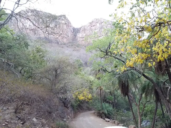 Sariska Tiger Reserve Beauty