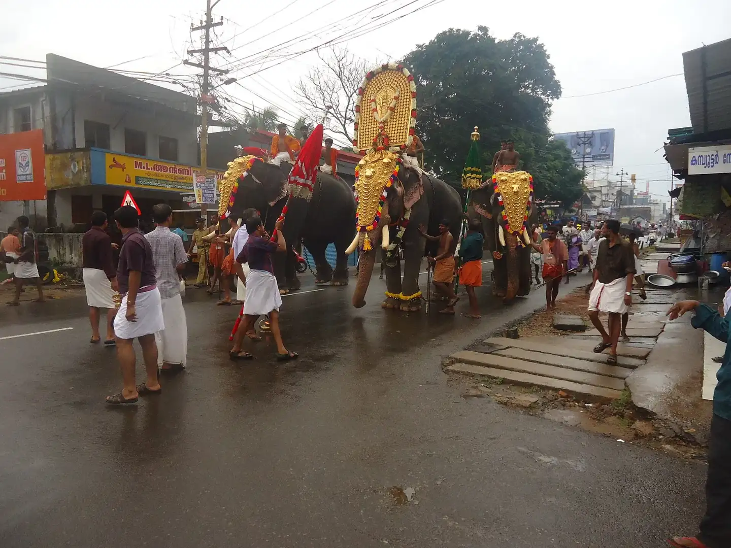 Elephants at Thrissur Puram