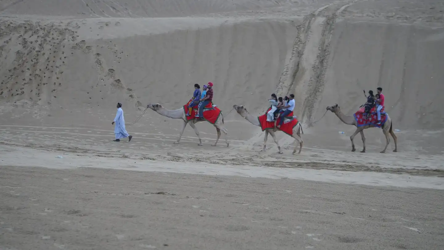 Camels at Sam sand dunes, Jaisalmer