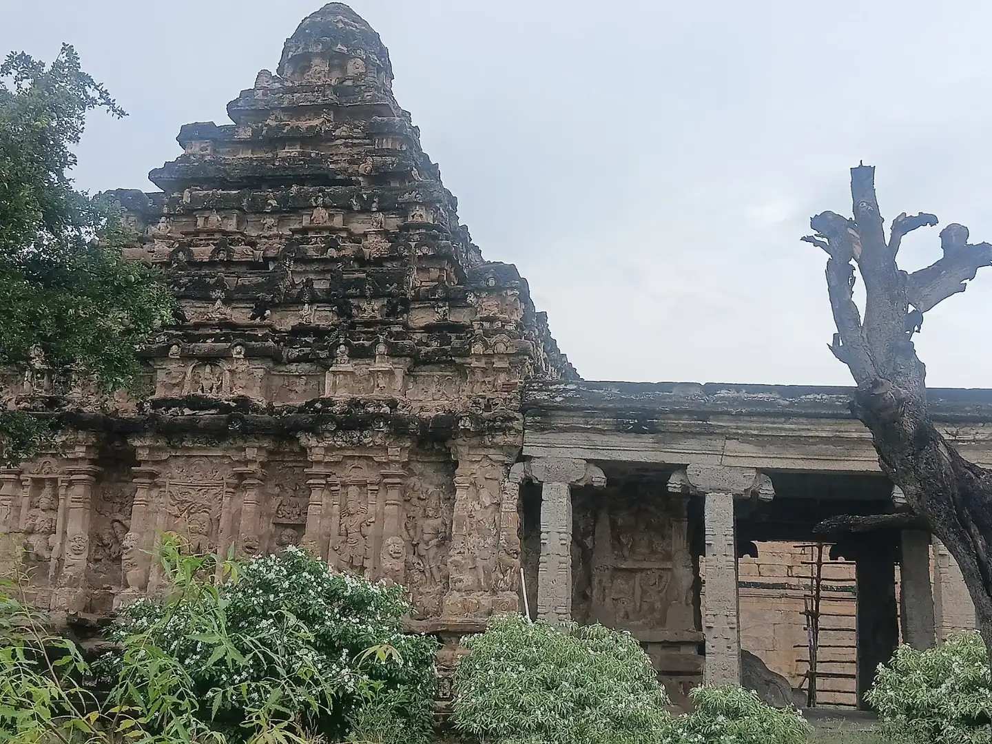 Brahmapureeswarar Temple, located in Thirupattur