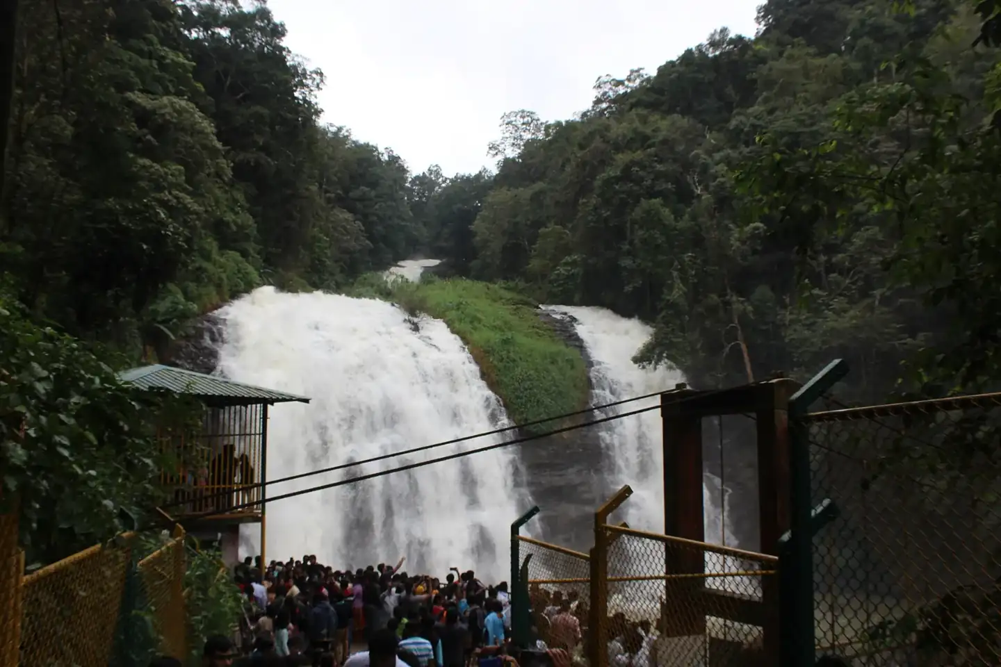 Abbey falls - Madikeri
