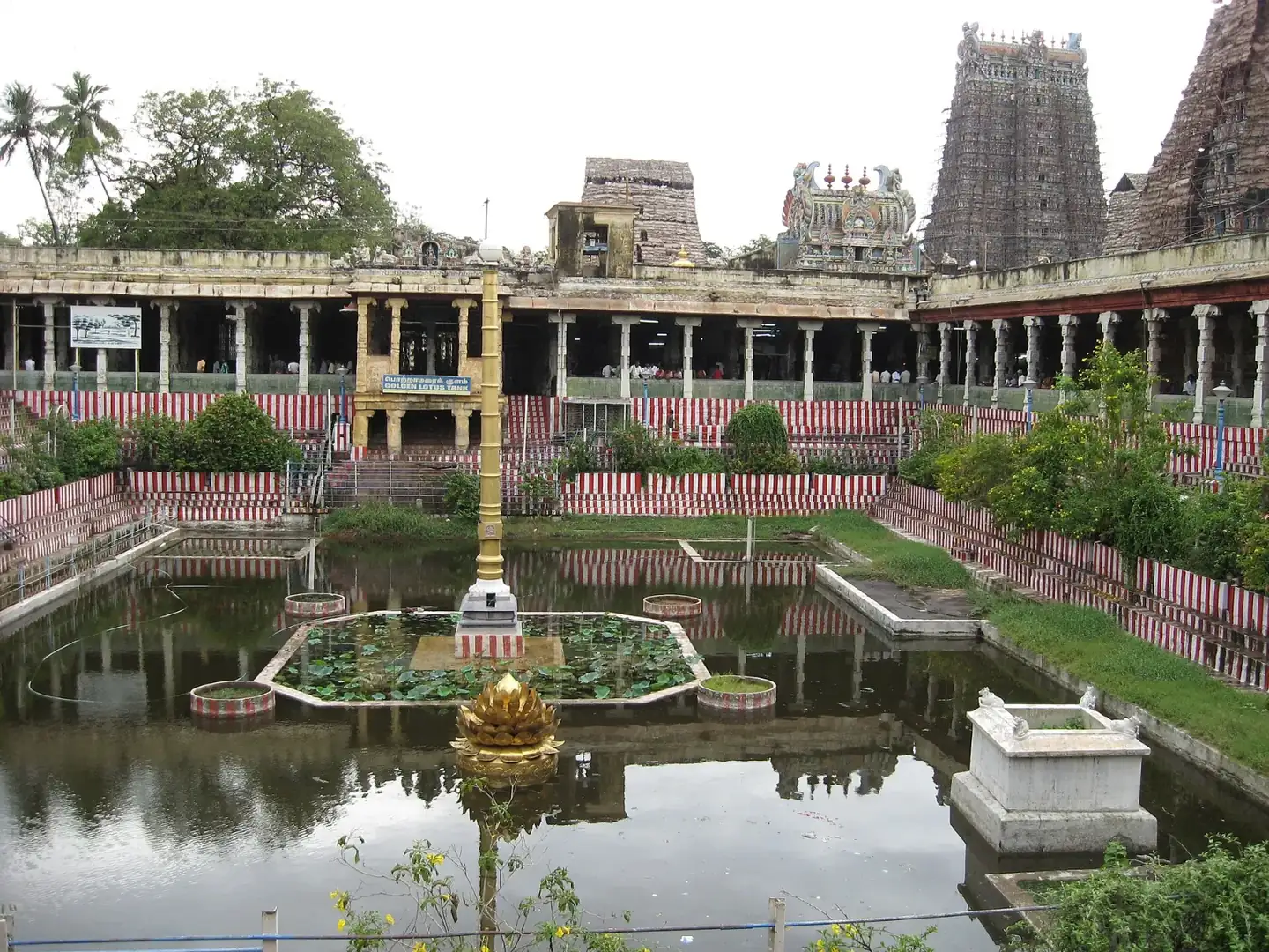 Lotus Tank, Sri Meenakshi Temple - panoramio
