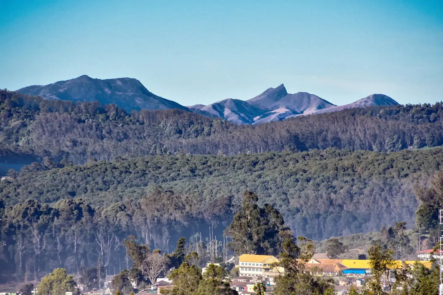 Mukurthi Peak Ooty Nilgiris India