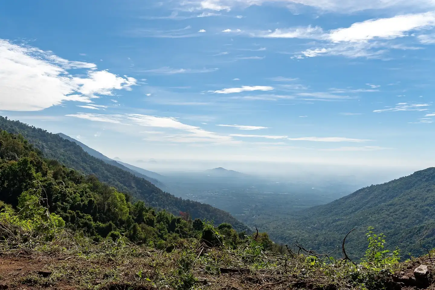 Nilgiri Biosphere Reserve Nilgiri Mountain Railway