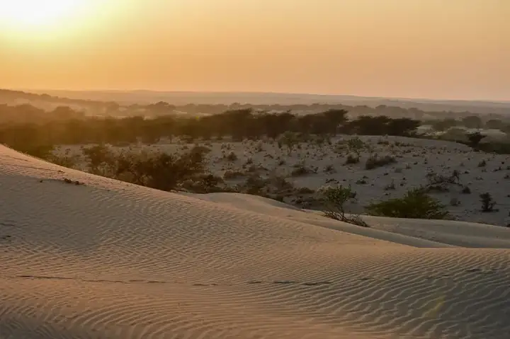 Sunset Sand Dunes Jaisalmer