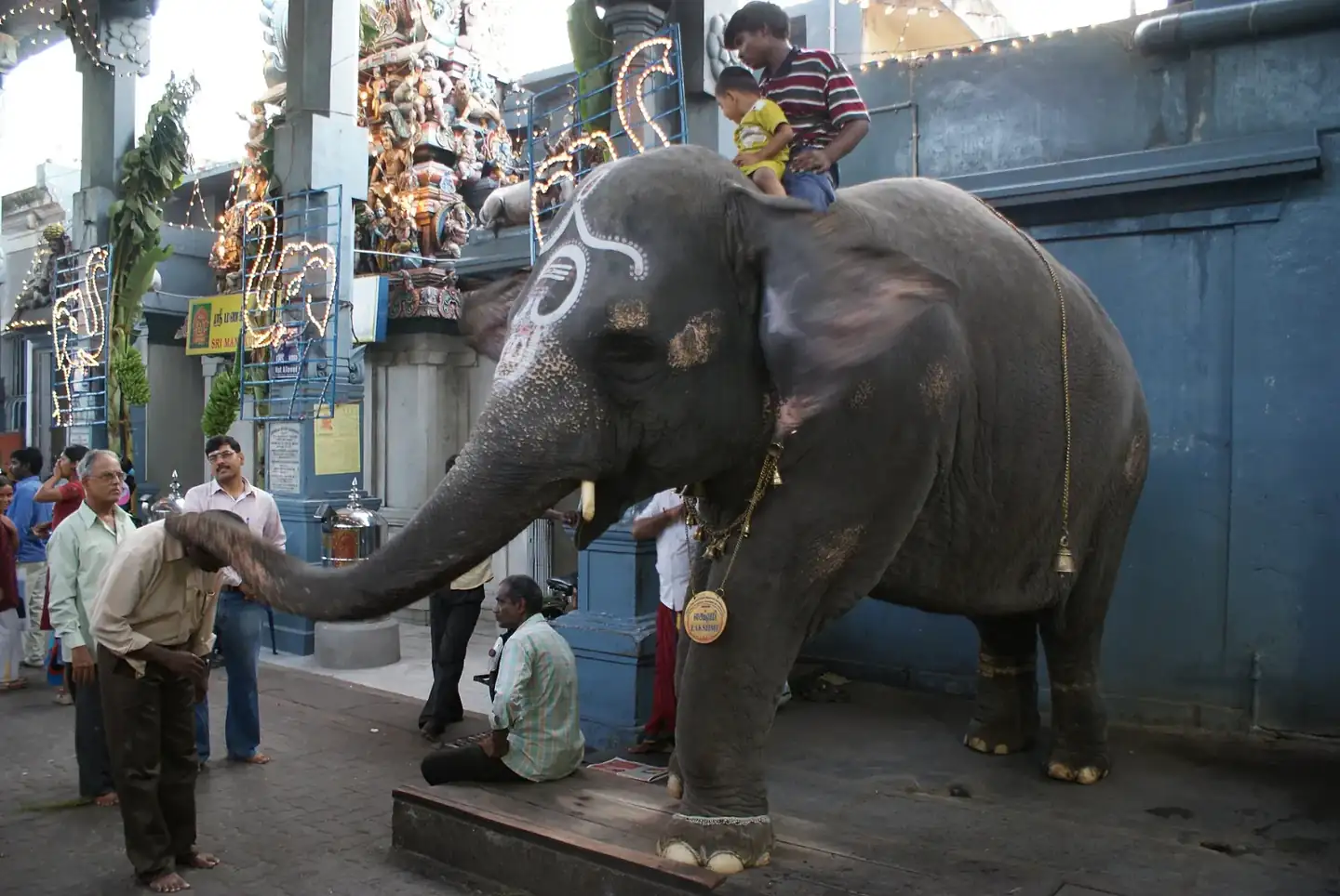 Pondicherry Manakula Vinayagar Temple elephant
